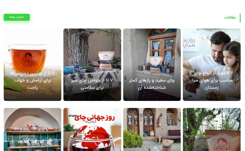طراحی سایت در رشت و گیلان